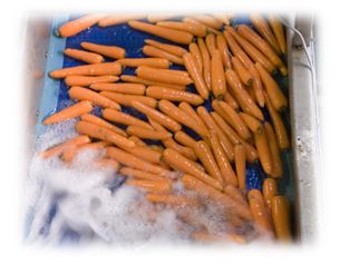Machine pour le lavage de nos carottes de Normandie