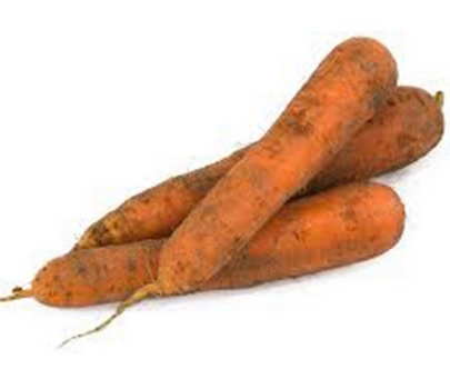 carottes des sables 2